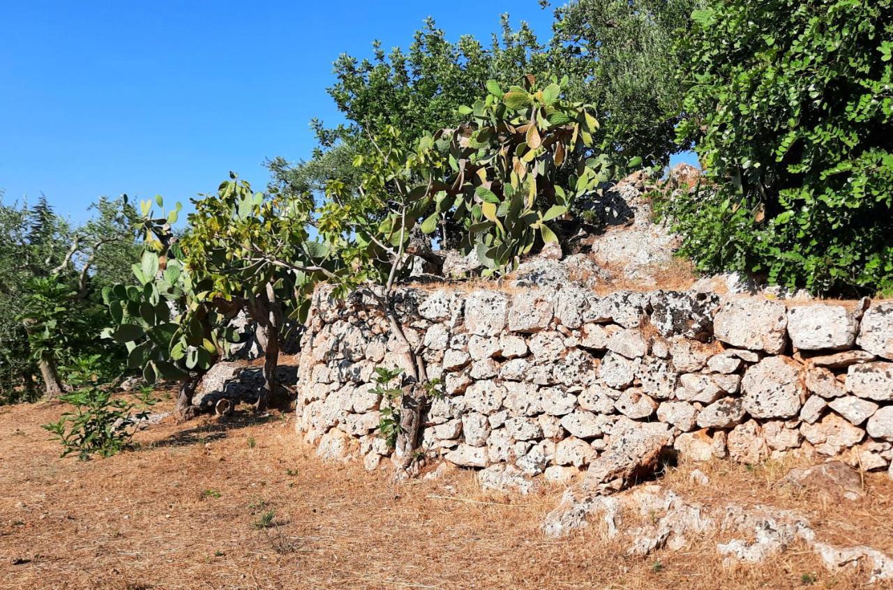Vila I Due Carrubi Ostuni Exteriér fotografie
