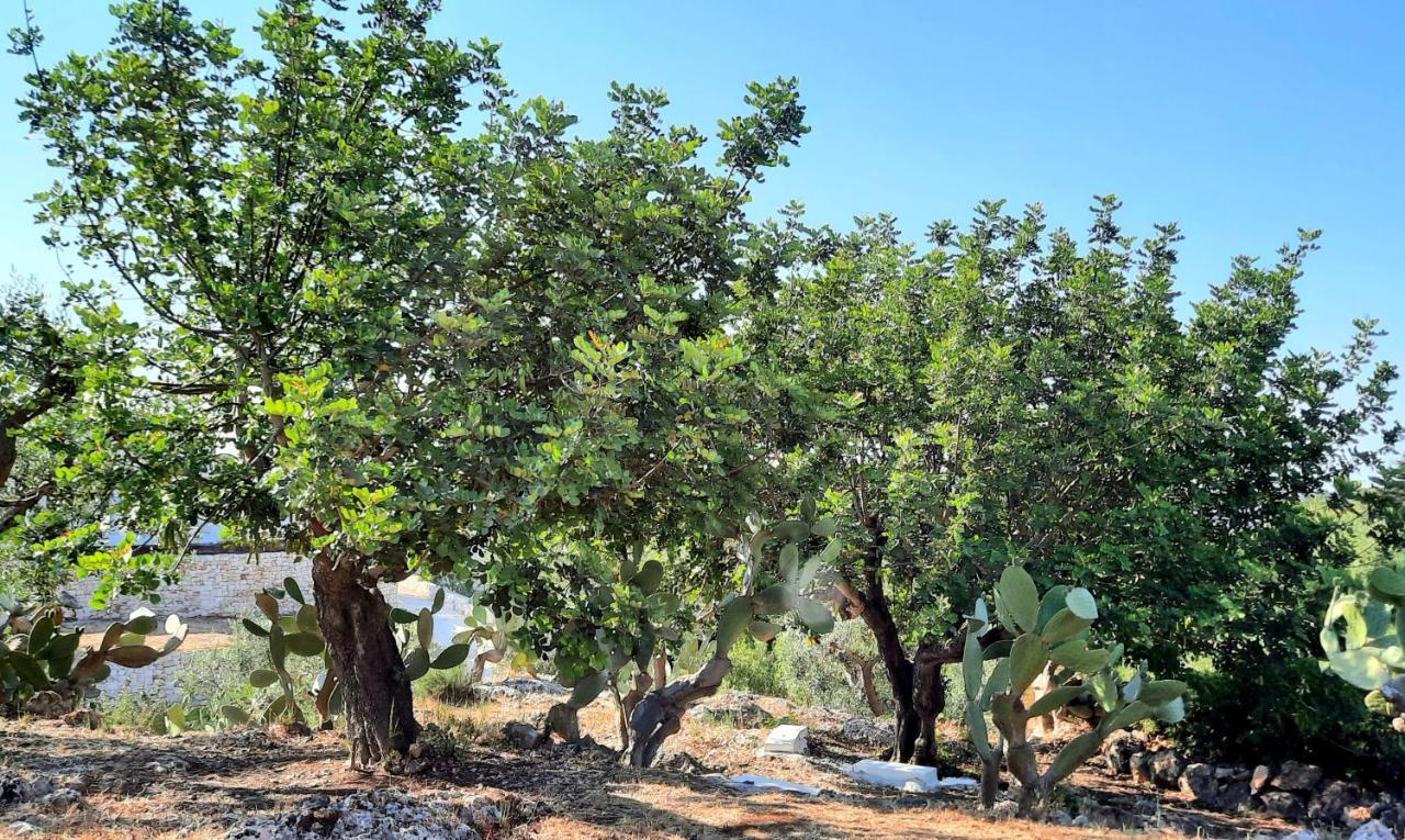 Vila I Due Carrubi Ostuni Exteriér fotografie
