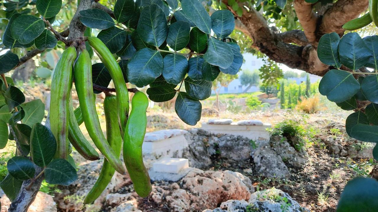 Vila I Due Carrubi Ostuni Exteriér fotografie
